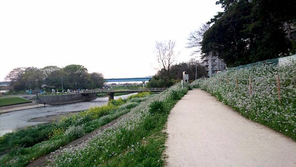 多摩川河川敷４