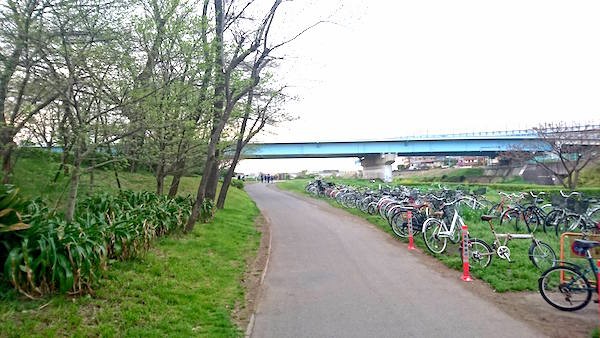 多摩川河川敷６