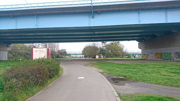 多摩川河川敷７