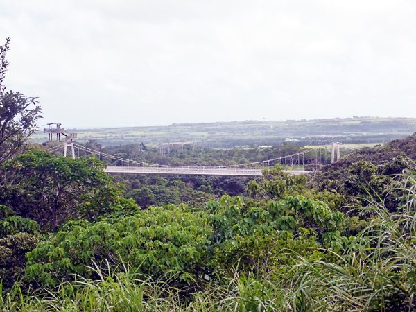石垣島バンナ公園セグウェイ