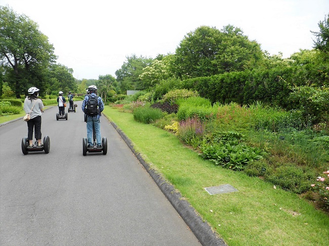 森林公園のツアーの様子